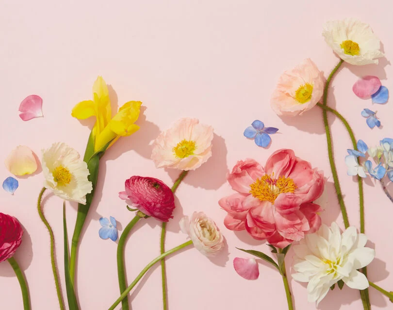 Verschillende beterschapsbloemen tegen een roze achtergrond 