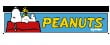 Product logo