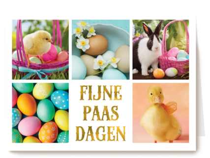 mooie paasbeelden