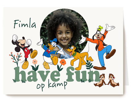 Mickey Friends Have Fun Kamp