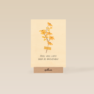 Bloemen heel veel liefs door de brievenbus