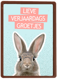 een konijntje voor je verjaardag