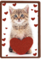 valentijnskaart klassiek poes met hart
