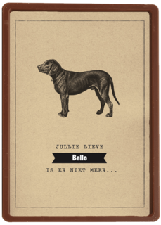 condoleance huisdier jullie lieve hond is er niet meer