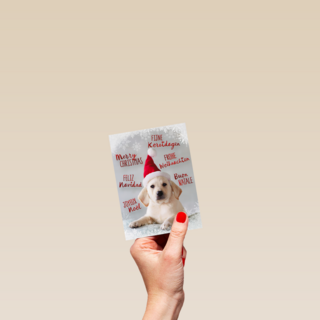 kerstpuppy met muts