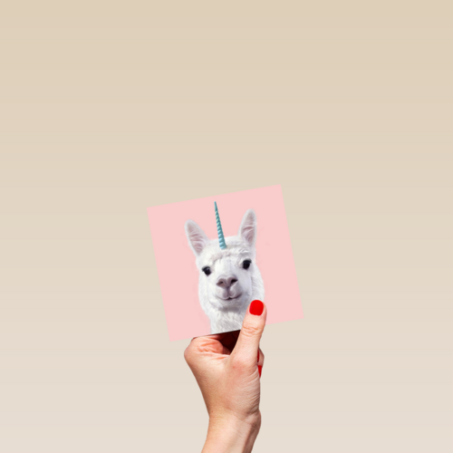 unicorn lama