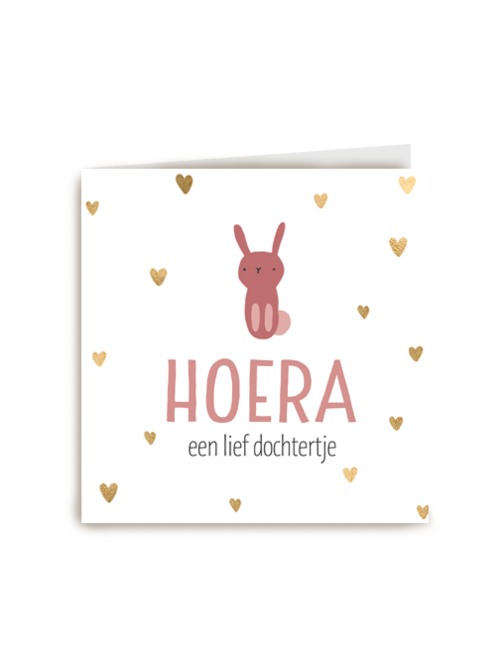 geboorte dochter konijn hoera een lief dochtertje