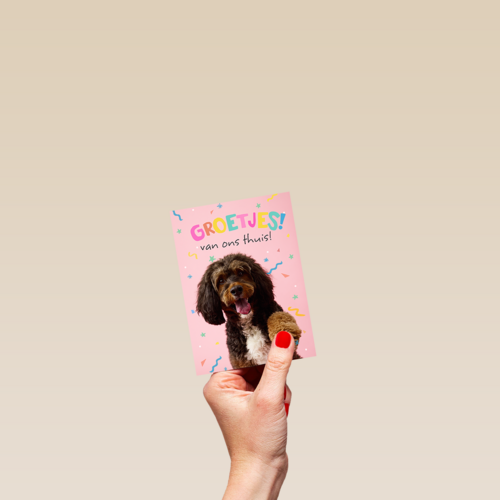 Op Kamp groetjes van thuis hond roze