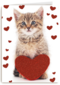 valentijnskaart klassiek poes met hart