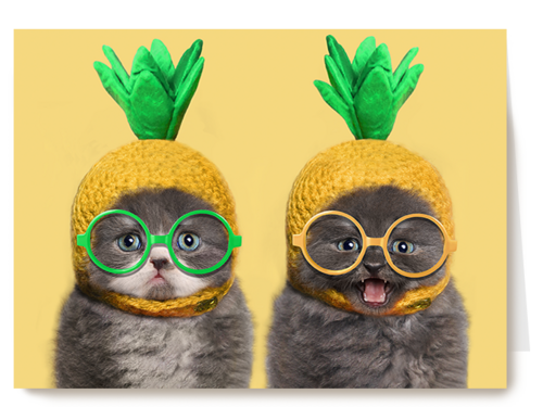Chromazone kittens bril