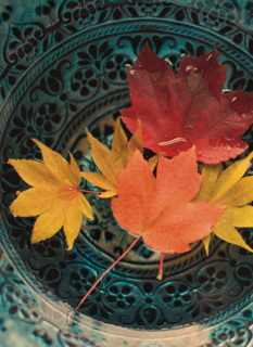 herfst kaart herfstbladeren