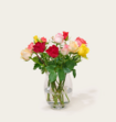 Brievenbusbloemen Rozen Taylor