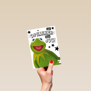 Beterschapskaart Kermit Een opkikker voor jou