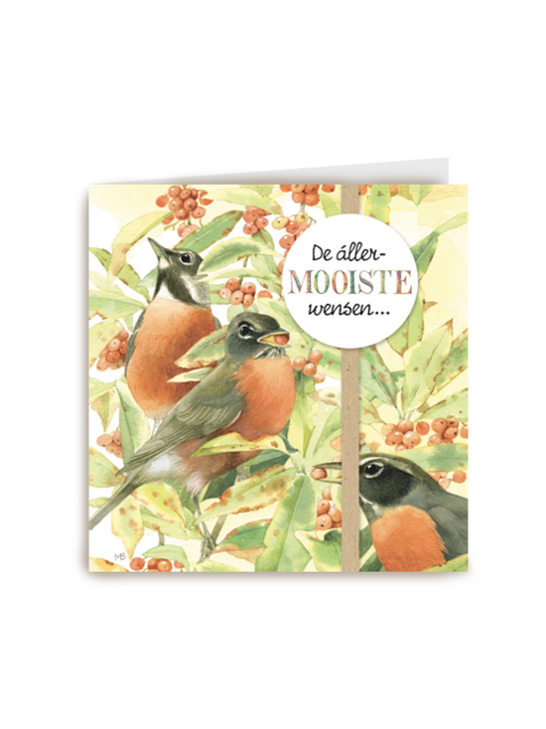 marjolein bastin de allermooiste wensen