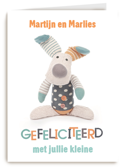gefeliciteerd knuffel