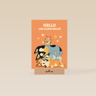 Bluey Lief Klein Zusje