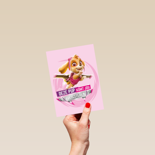Paw Patrol deze pup komt jou feliciteren