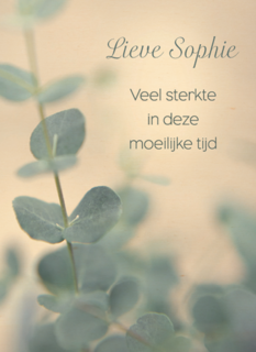 lieve veel sterkte in deze moeilijke tijd