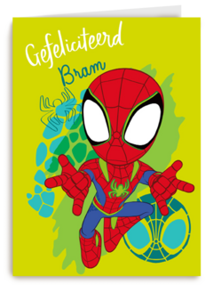 Gefeliciteerd Spidey and Friends