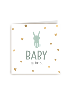 zwangerschap aankondiging baby zoon op komst