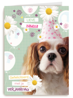 prodo dieren lieve gefeliciteerd met je verjaardag