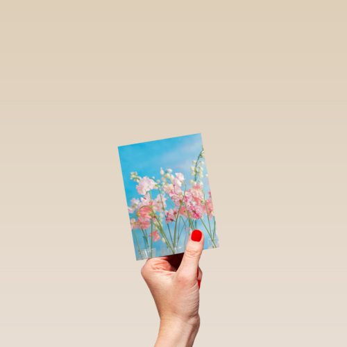 bloemen lucht