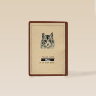 condoleance huisdier jullie lieve kat is er niet meer