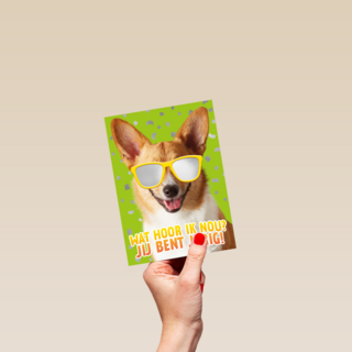 wat een coole hond voor je verjaardag