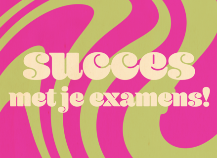 Swirl Succes Examens