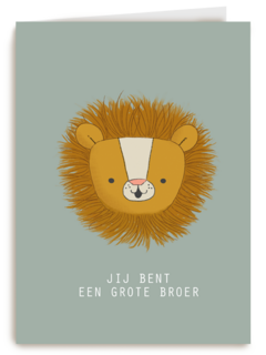geboorte broer jij bent een grote broer