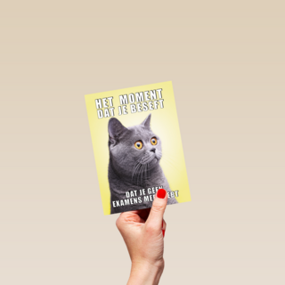 Geslaagd kaart Kat grappig