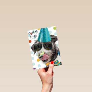 hoera feest hond met zonnebril
