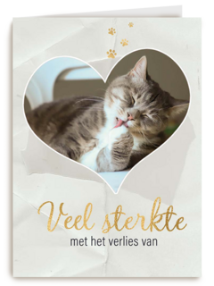 Fotokaart veel sterkte met verlies kat