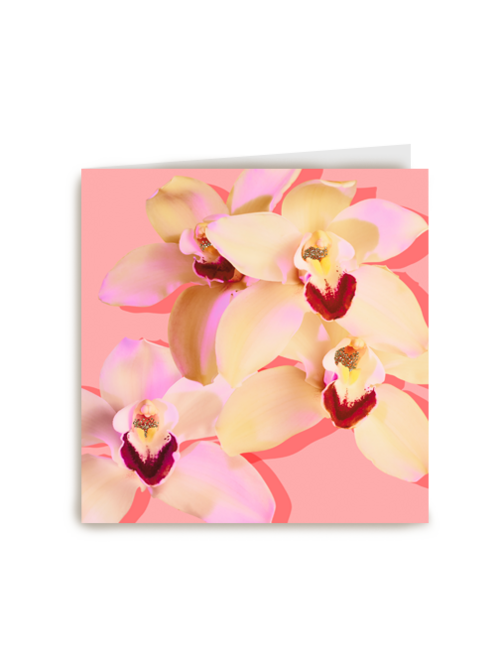 Blanco kaart orchidee