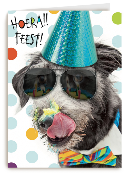 hoera feest hond met zonnebril