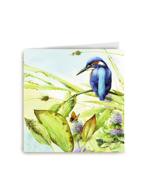 een prachtige ijsvogel