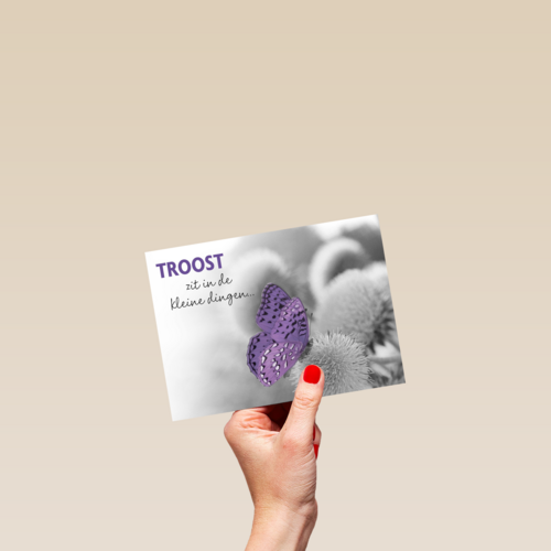 troost zit in kleine dingen 1