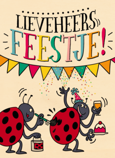 verjaardagskaart lieveheersfeestje