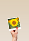 Beterschapskaart zonnebloem met smiley Polaroid