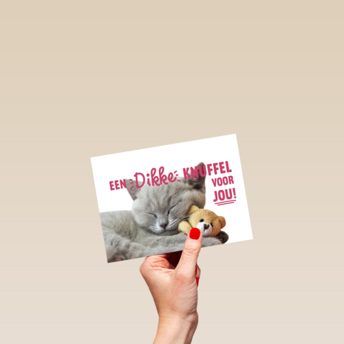een dikke kattenknuffel voor jou