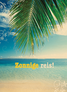 zonnige reis