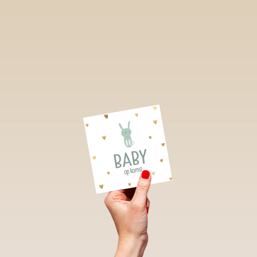 zwangerschap aankondiging baby zoon op komst
