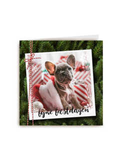 kerstkaart fotokaart hond fijne feestdagen