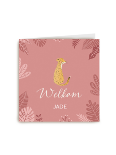 geboorte dochter cheetah welkom