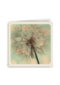 love blooms here