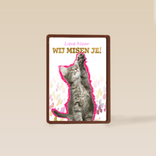 Lieve we missen je kat Op Kamp