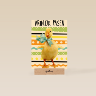 vrolijk paaskuiken