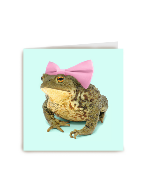 kikkerprinses