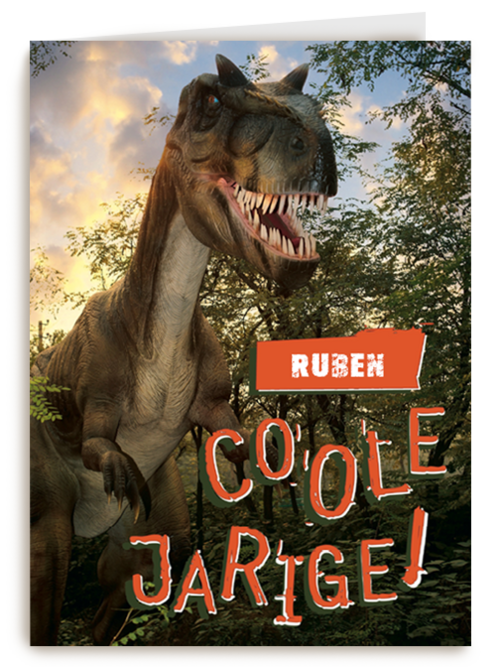 dino coole verjaardag