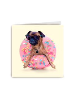 hond met donut
